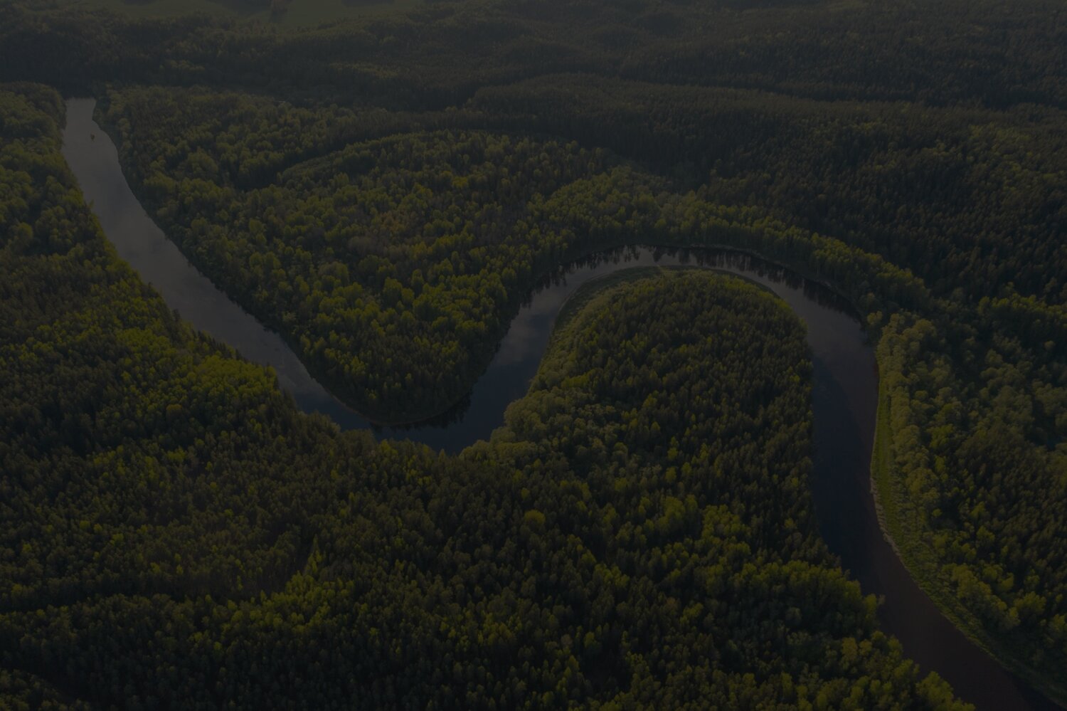 Aerial view of a river meandering through dense green forest